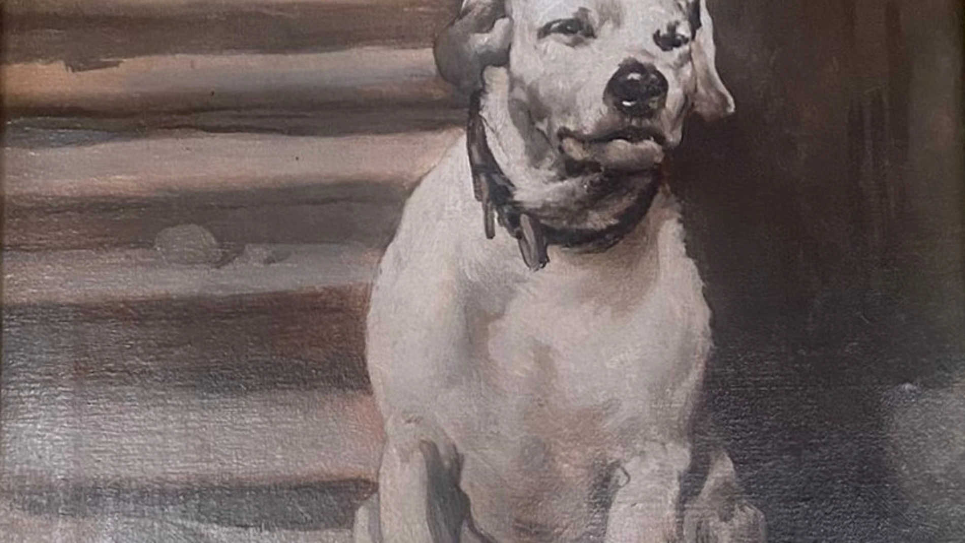 Retrato dedicado al Perro Paco