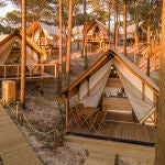 Cabañas en un bosque