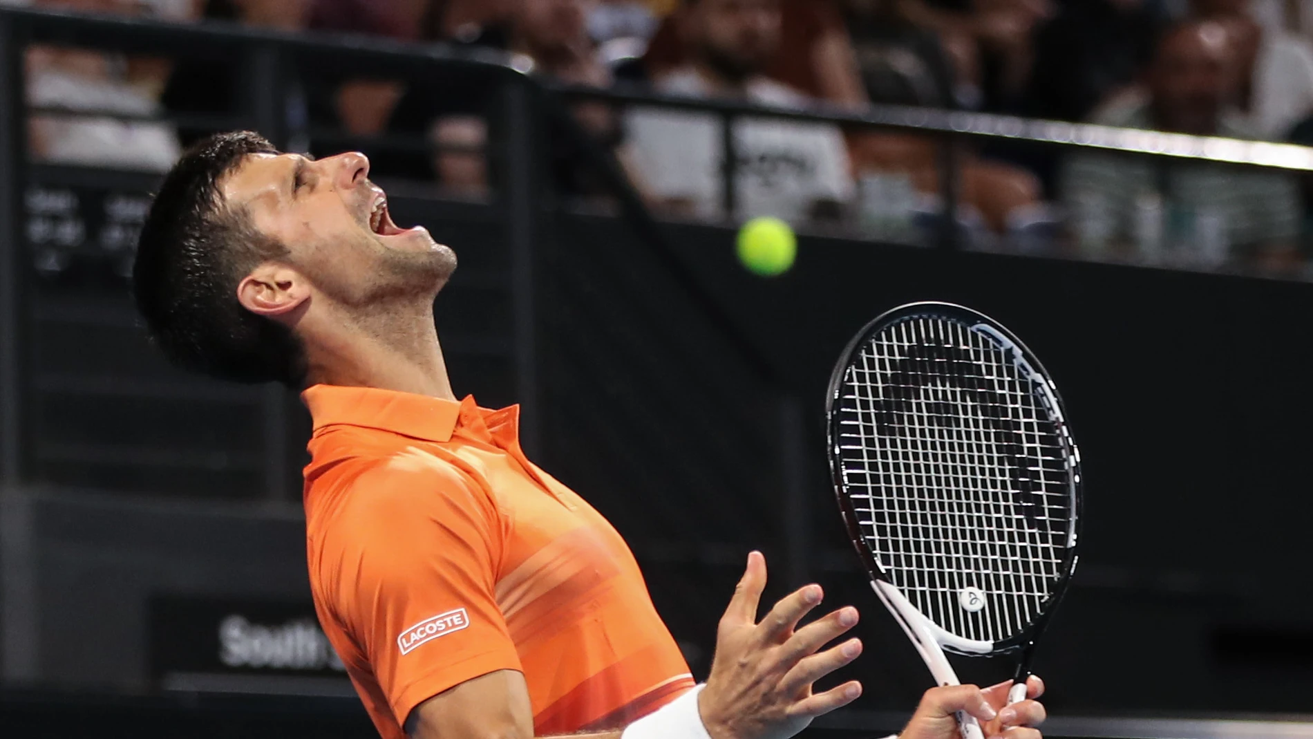 Djokovic necesitó dos horas y 42 minutos para llegar a cuartos del torneo de Banja Luka