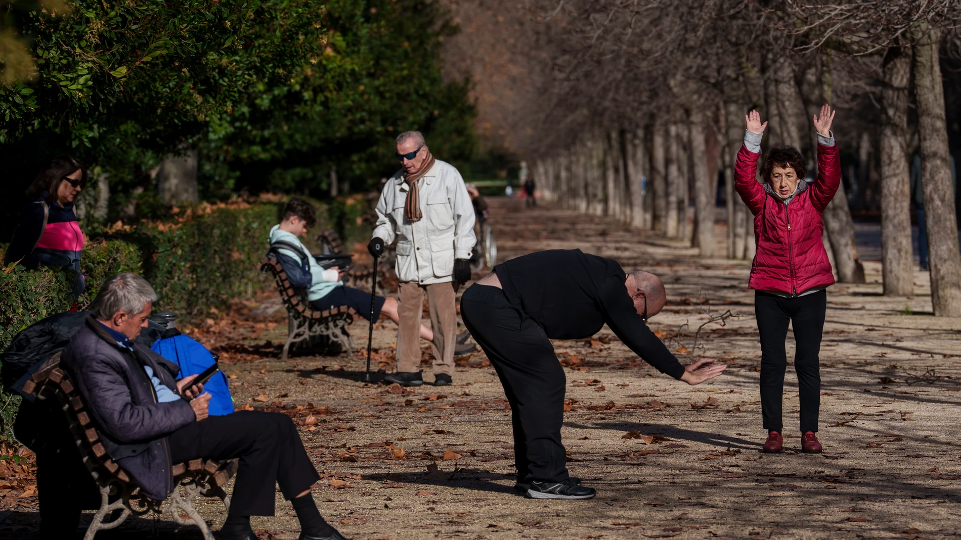 Un grupo de jubilados hace ejercicio en el madrileño parque del Retiro