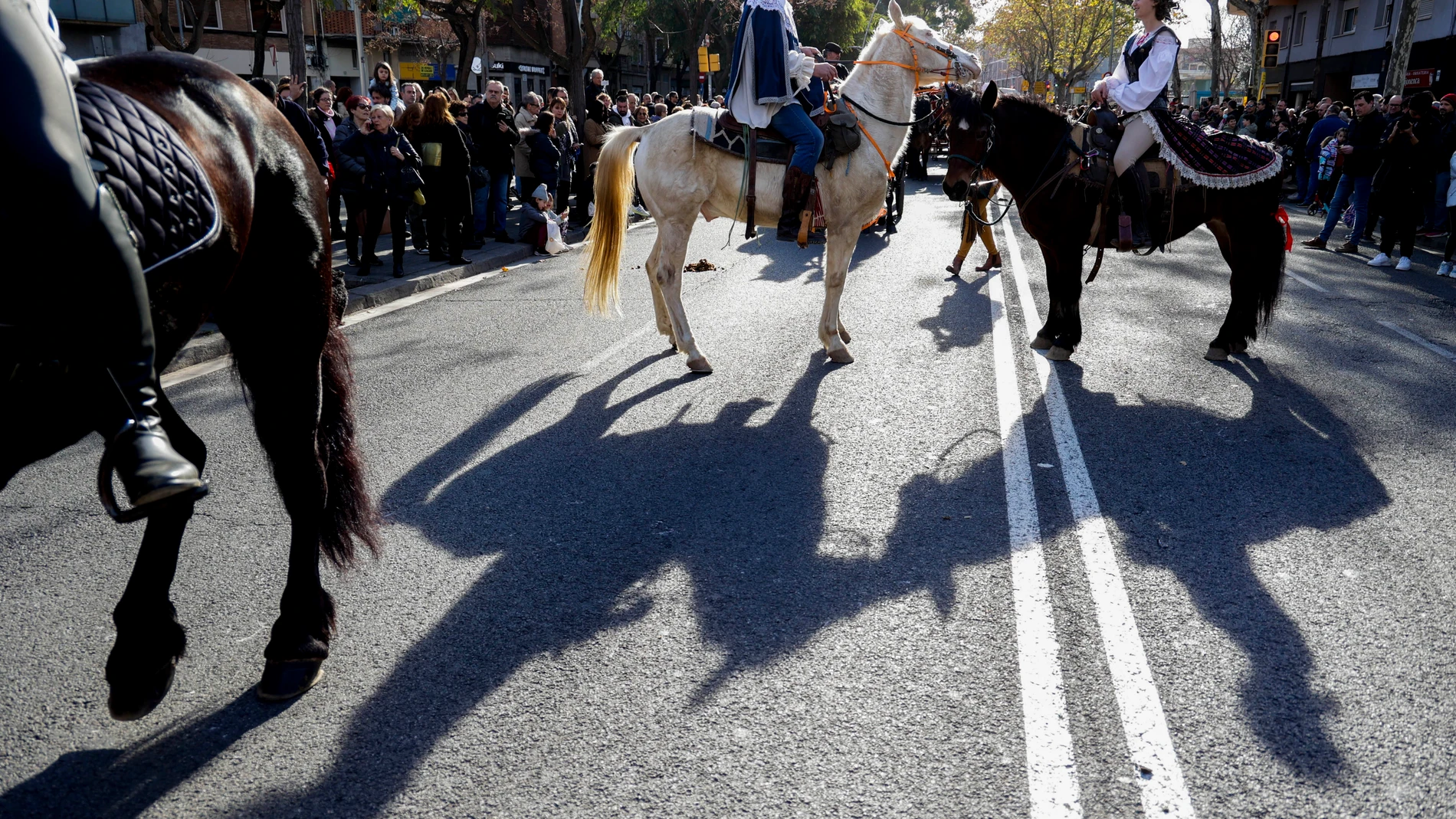 Celebración de la tradicional Cabalgata de Els Tres Tombs en honor a Sant Antoni Abat, patrón de los animales de granja y domésticos celebrada este domingo en el barrio de Sant Andreu de Palomar de Barcelona