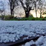 Imagen de archivo de heladas en Mallorca