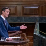 El presidente del Gobierno, Pedro Sánchez, en el Pleno del Congreso de los Diputados