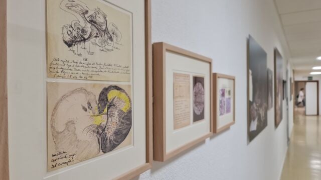 Imágenes del Espacio Cajal en el Hospital 12 de Octubre de Madrid