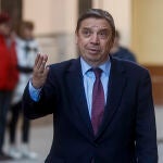 El ministro de Agricultura, Pesca y Alimentación, Luis Planas