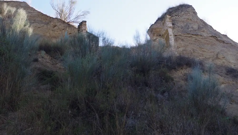 Población andalusí en la Comunidad de Madrid
