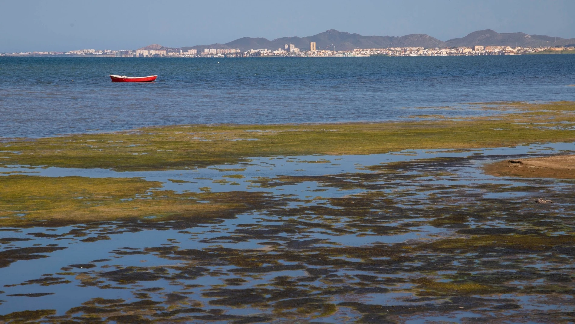 Desde finales de año el Mar Menor cuenta con personalidad jurídica