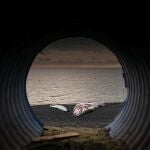 ¿Quién contamina el Mar Menor?