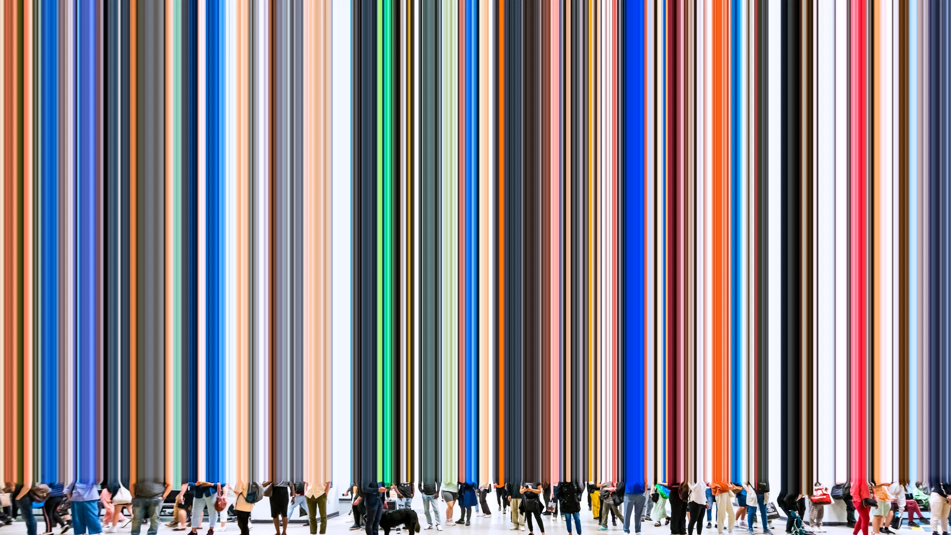 Montreal II, 2022, Fotomontaje sobre papel