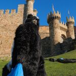  La campaña ‘Cuida tu casa, cuida Ponferrada’ crea el personaje de la Mofeta para concienciar a la población sobre la manera correcta de tratar sus residuos