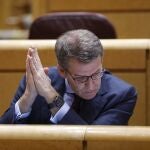 Alberto Núñez Feijóo durante la sesión de control al Gobierno en el Senado.
