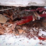 La búsqueda de supervivientes continúa después del gran terremoto en el distrito de Kahramanmaras en Elbistan