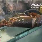 Hallan en Usera 600 kilos de alimentos con etiquetas falsas