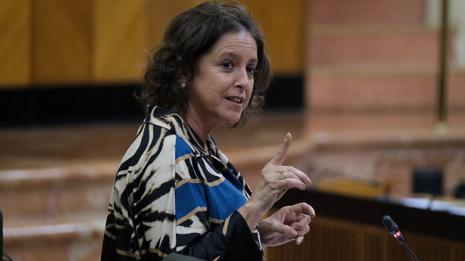 La consejera de Salud, Catalina García