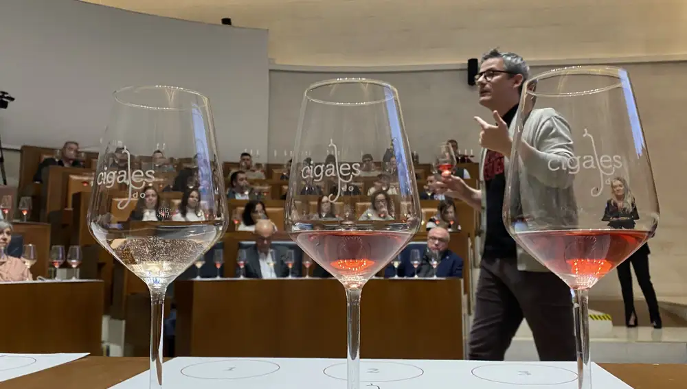 El experto Santiago Rivas durante su clase magistral