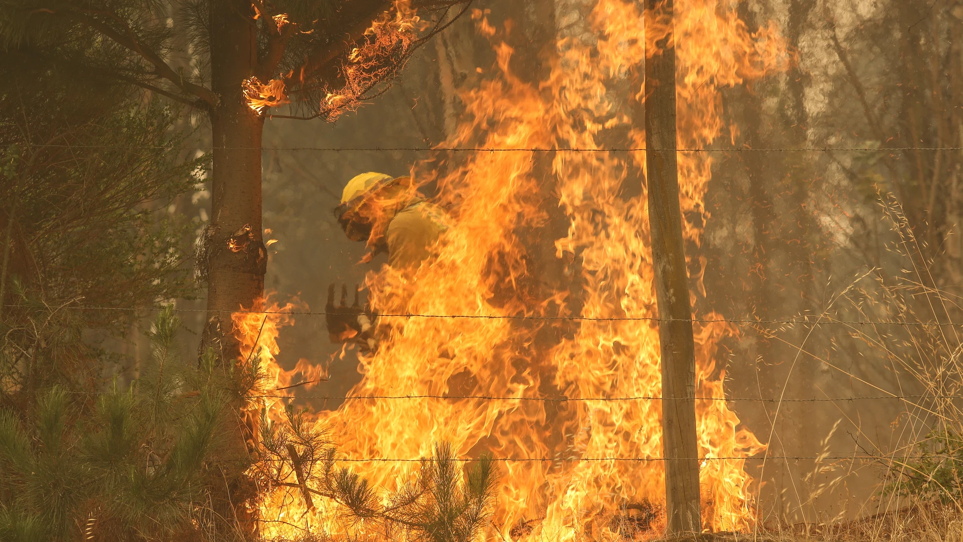 Chile.- Chile informa de 303 incendios en todo el país, 82 de ellos no controlados