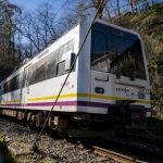 Un tren de cercanías llega a la estación de la localidad cántabra de Virgen de la Peña