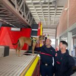 Ángel Moratalla y Rafael Arnau han regresado de Turquía, tras buscar a supervivientes del terremoto con su perro.