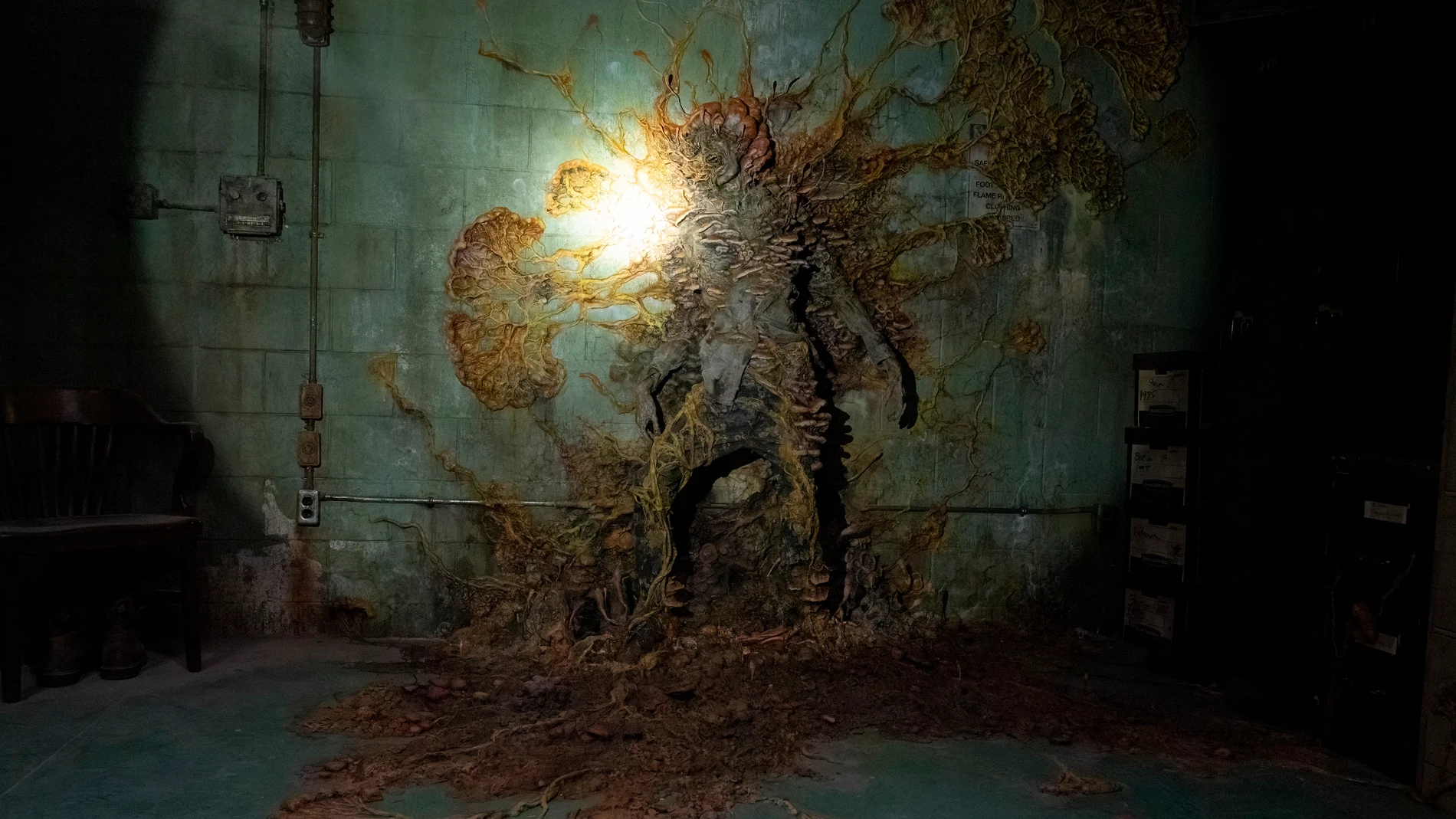 The Last of Us