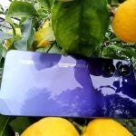 realme 10, un apuesta en un sector muy competitivo de los móviles