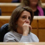 La ministra para la Transición Ecológica, Teresa Ribera, durante la sesión de control que celebra el pleno del Senado.