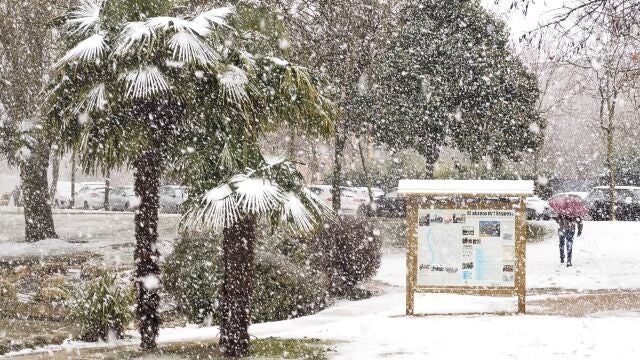La nieve cubre buena parte de las ciudades y pueblos de CyL, con desplome de las temperaturas y carreteras cortadas