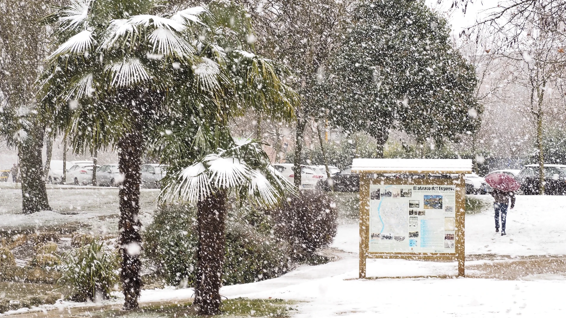 La nieve cubre buena parte de las ciudades y pueblos de CyL, con desplome de las temperaturas y carreteras cortadas
