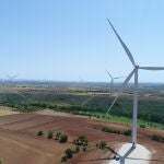 Forestalia trabaja por un presente y un futuro renovable