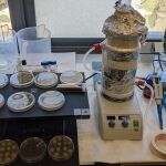 La UPO participa en el Proyecto Valzeo