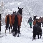 MURCIA.-Frío intenso, lluvias y nieve en el último fin de semana de febrero, que se despide con los días más fríos del invierno
