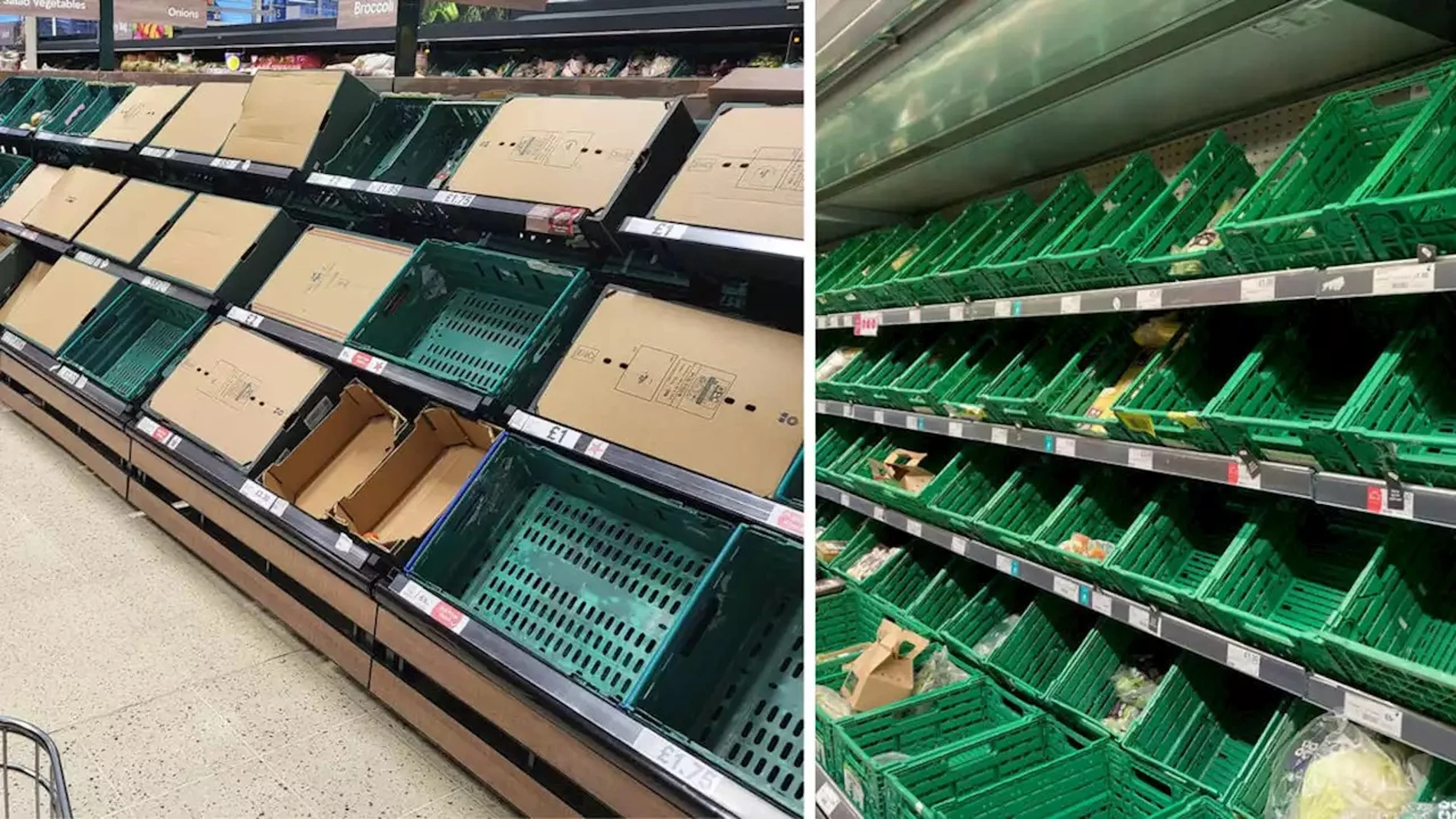 Los agricultores británicos piden a los ministros a tomar "medidas urgentes" para evitar que los estantes permanezcan vacíos