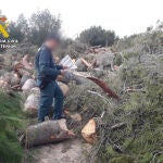 Investigado el responsable de un campo de golf por la poda ilegal de árboles