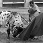 Spanish bullfighter Antonio Chenel's 'Antonete' fighting against his second bull of the evening called 'Atrevido' of Osborne ranch during the San Isidro Fair held at the bullring of Las Ventas, Madrid Spain. 