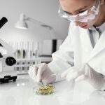 Foodtech en laboratorio