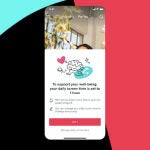 Nueva configuración de TikTok: limite a su uso para menores de 18