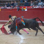 Cómo ser figura vestido de luces y en la dehesa (En Valencia)