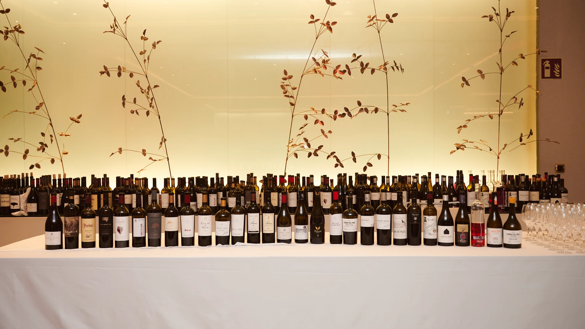 Ribera del Duero cierra con éxito la primera edición de su Gran Premier