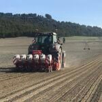 Un agricultor recoge la remolacha