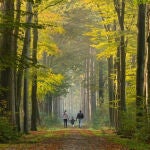 5 consejos para cuidar los bosques en tus excursiones