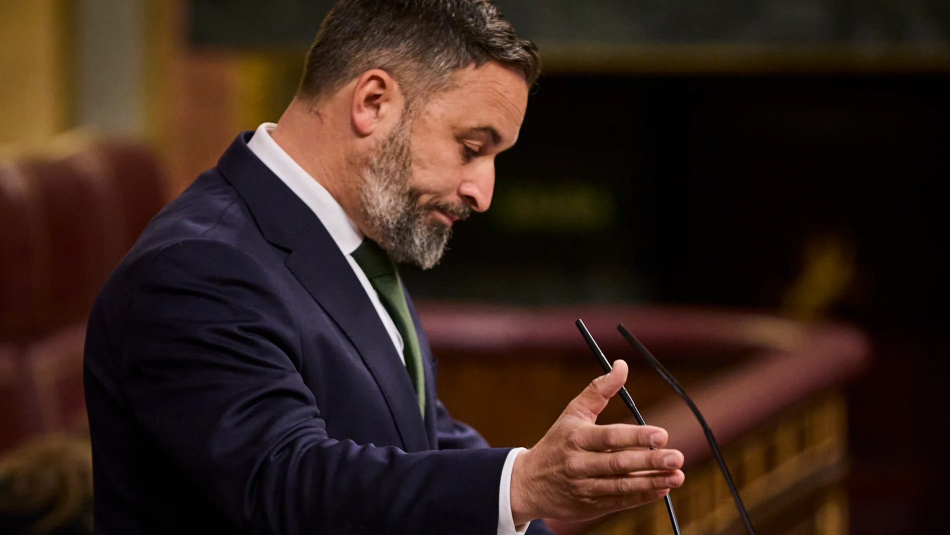 Moción de censura al Gobierno presidido por Pedro Sánchez Pérez Castejón que incluye como candidato a la Presidencia del Gobierno a Ramón Tamames Gómez presentado por VOX © Alberto R. Roldán / La Razón