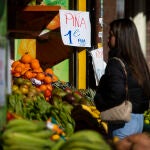Precios de la fruta y verdura en una frutería de Madrid.