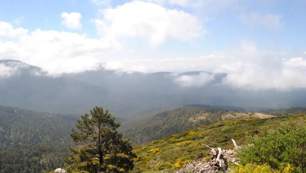 Dehesas de la Garganta en la Sierra de Guadarrama