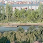 Una línea de arbolado de gran porte tratará de aislar la zona de la contaminación visual y acústica del Puerto