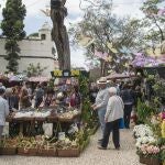 Festa da Flores en Madeira