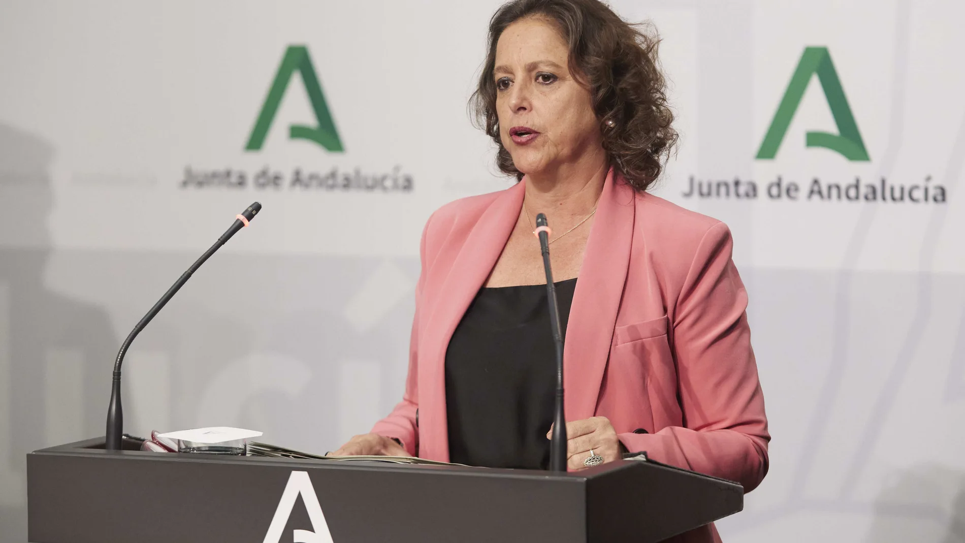 La consejera de Sanidad, Catalina García