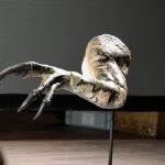 El yacimiento riojano Virgen de Villar-2 saca a la luz el dinosaurio espinosáurico "más completo"
