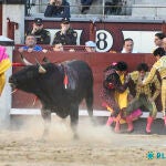 Álvaro Alarcón, perforación de la pleura y tres costillas rotas 