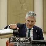 l Ministro del Interior, Fernando Grande Marlaska.