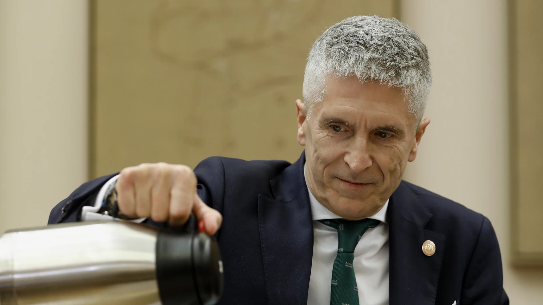 l Ministro del Interior, Fernando Grande Marlaska.