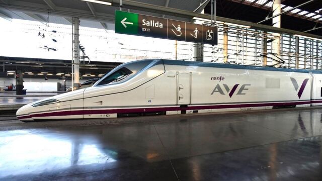 Las fuentes de Renfe afirman que, como consecuencia de la avería, el tren de AVE ha quedado parado